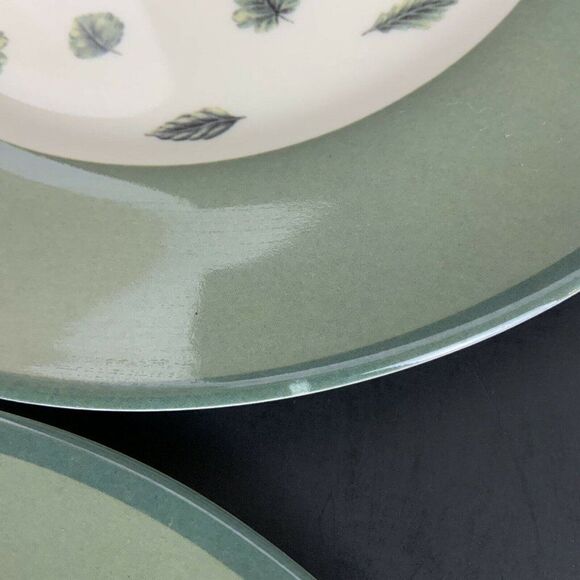 Pfaltzgraff Melamine Salad Plate Set of 4 Gardening Theme Watering Can Plants - Picture 6 of 6